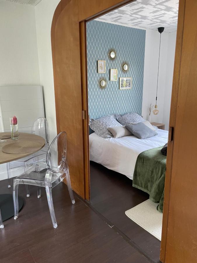 50 M2 T2 Au Calme, Lumineux, Confortable, Cosy, Climatise, Privatif Avec Parking Gratuit Et Terrasse Тулуза Екстер'єр фото